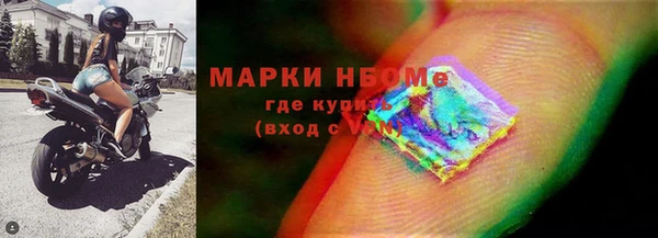индика Белоозёрский