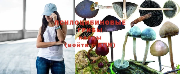 дистиллят марихуана Белокуриха