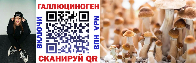 Галлюциногенные грибы Magic Shrooms  OMG зеркало  Верхняя Тура  купить наркотики сайты 